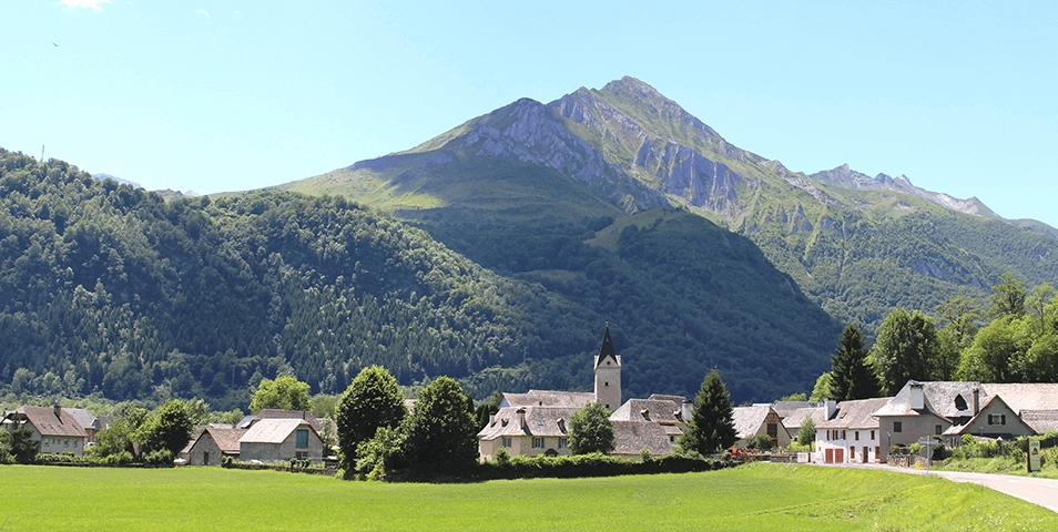 Tout savoir sur l’achat de fioul dans les Hautes-Pyrénées