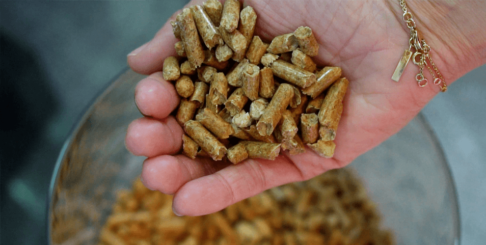 Choisissez des pellets de qualité